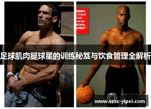 足球肌肉腿球星的训练秘笈与饮食管理全解析